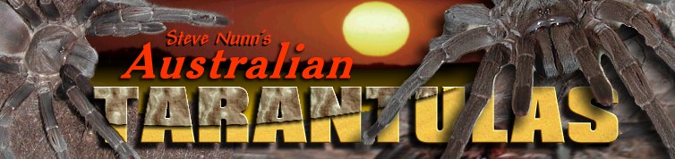 Welcome to Steve Nunn's Australian Tarantula Site
