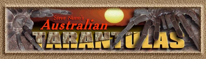 Welcome to Steve Nunn's Australian Tarantula Site