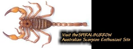 visit the Australian Scorpion Enthusiasts Site