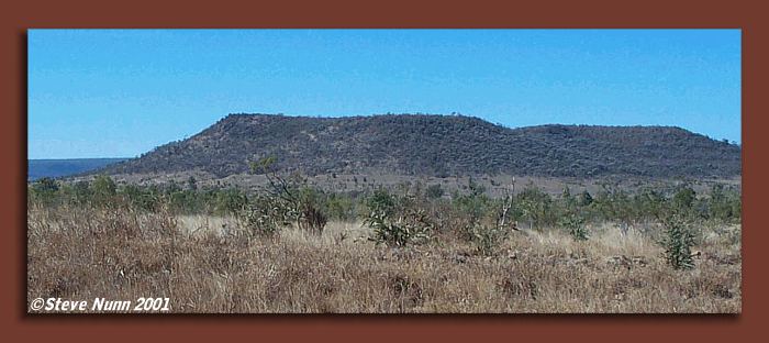 Selenotypus plumipes habitat