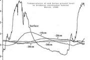 Burrow Temperatures - <i>Urodacus yaschenkoi</i> 