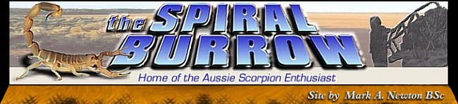 Welcome to the Spiral Burrow