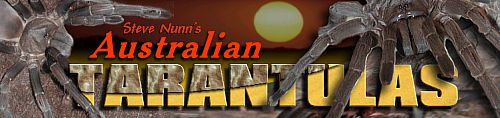 Visit Steve Nunn's Aussie Tarantula site!!!!...Dont miss it.