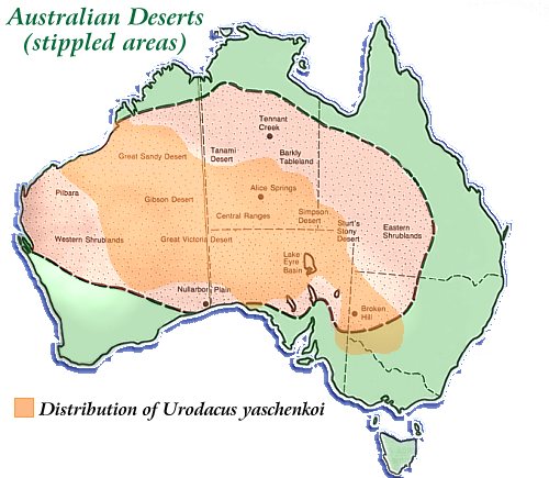 Distribution of urodacus yaschenkoi